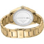 Lacoste Parisienne Gold - 2001088