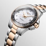 Longines HydroConquest 32mm - L3.370.3.89.6