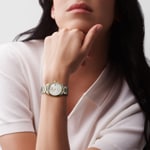 Longines - The Longines Master Collection 29mm - L2.257.5.87.7