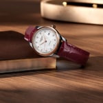 Longines Master Collection 30mm - L2.449.5.89.2