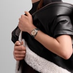 Longines - The Longines Master Collection 39mm - L2.843.4.93.2