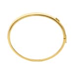 Michael Kors Bangle Metallic Muse Brass gold-plated - MKJ8540710