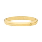 Michael Kors Bangle Metallic Muse Brass gold-plated - MKJ8598710