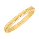Michael Kors Bangle Metallic Muse Brass gold-plated - MKJ8598710