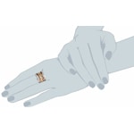 Michael Kors Ring MK Brilliance Ø 55 - MKJ2598998