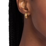 Michael Kors Premium Hoop earrings Kors MK Brass gold-plated - MKJ8655710