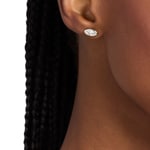 Michael Kors Premium Stud earrings Kors Brilliance Brass  - MKJ8677040