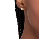 Michael Kors Premium Stud earrings Kors Brilliance Brass gold-plated - MKJ8661710