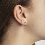 Ohrstecker 750/18 K Bicolor Edelweiss - 1563.02878/0002