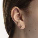 Stud Earrings 750/18 K Yellow Gold Edelweiss - 1163.02155/0003