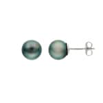 Clous d'oreilles Argent 925 rhodié avec perle de culture de Tahiti Ø 8mm
