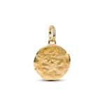 Pandora Gold ME Weizen Medaillon-Charm - 764804C01