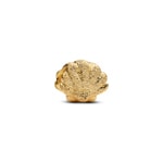 Pandora Gold Moments Textured Shell Mini Charm - 764057C00