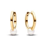 Pandora Gold Timeless Treated Freshwater Cultured Pearl Hoop Earrings - 263170C01