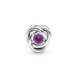 Pandora Moments February Birthstone Eternity Circle Charm - 790065C02