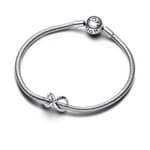 Pandora Moments Charm Symbole de l’Infini Forever & Always Argent 925 - 793243C00