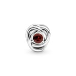 Pandora Moments January Birthstone Eternity Circle Charm - 790065C06