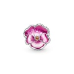 Pandora Moments Charm Pensée Rose - 790777C01