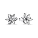 Pandora Timeless Funkelnde Herbarium Cluster Ohrringe 925 Silber