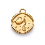 Paul Hewitt Aquarius Charm Gold
