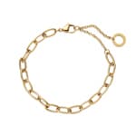 Paul Hewitt Charm-Armkette Anchor Link Marinium Ocean Steel Goldig
