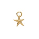 Paul Hewitt Charm Starfish Marinium Ocean Steel Gold