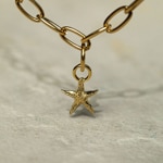 Paul Hewitt Charm Starfish Marinium Ocean Steel Doré - PH-JE-0426