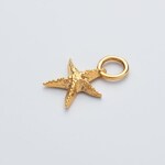 Paul Hewitt Charm Starfish Marinium Ocean Steel Doré - PH-JE-0426