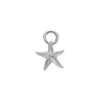 Paul Hewitt Charm Starfish Marinium Ocean Steel Silbrig