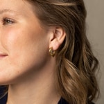 Paul Hewitt Creolen Waves Marinium Ocean Steel Goldig - PH-JE-0175