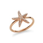 Paul Hewitt Ring Sea Star Marinium Ocean Steel Rose