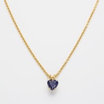 Paul Hewitt Collier Heart of the Sea Marinium Ocean Steel Doré - PH-JE-0148