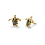 Paul Hewitt Ohrstecker Turtle Marinium Ocean Steel Goldig