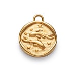Paul Hewitt Pisces Charm Gold