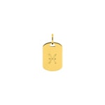 Plaquette or jaune 375/9 ct Signe du zodiaque poisson - 397596.00