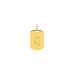 Plaquette or jaune 375/9 ct Signe du zodiaque lion - 397589.00