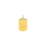 Plaquette or jaune 375/9 ct Signe du zodiaque capricorne - 397594.00