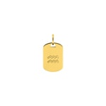 Plaquette or jaune 375/9 ct Signe du zodiaque verseau - 397595.00