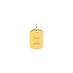 Plaquette or jaune 375/9 ct Signe du zodiaque gémeaux - 397587.00