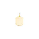 Engravable Pendant 750/18 K Yellow Gold tonneau 14x19mm