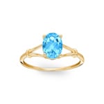 Ring 375/9 K Gelbgold mit Blautopas - 193009.T0