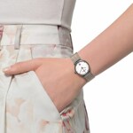 Skagen Ancher - 355SSRS