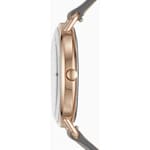 Skagen Horisont Diamond Special Edition - SKW2739