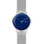 Skagen Horisont Special Edition - SKW6488