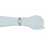 Skagen Leonora Mini - 456SSS