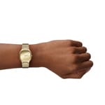 Skagen Mellem Lille Mesh Doré - SKW3164