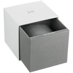 Skagen Mellem Lille Mesh Argenté - SKW3163