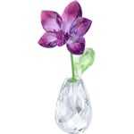 Swarovski Blumenträume - Orchidee - 5254318