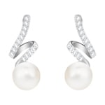 Swarovski Gabriella Pearl earrings, white, rhodium plated - 5528447