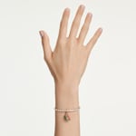 Swarovski Pendentif Charm Idyllia Pastèque Multicolore Plaqué or - 5743134